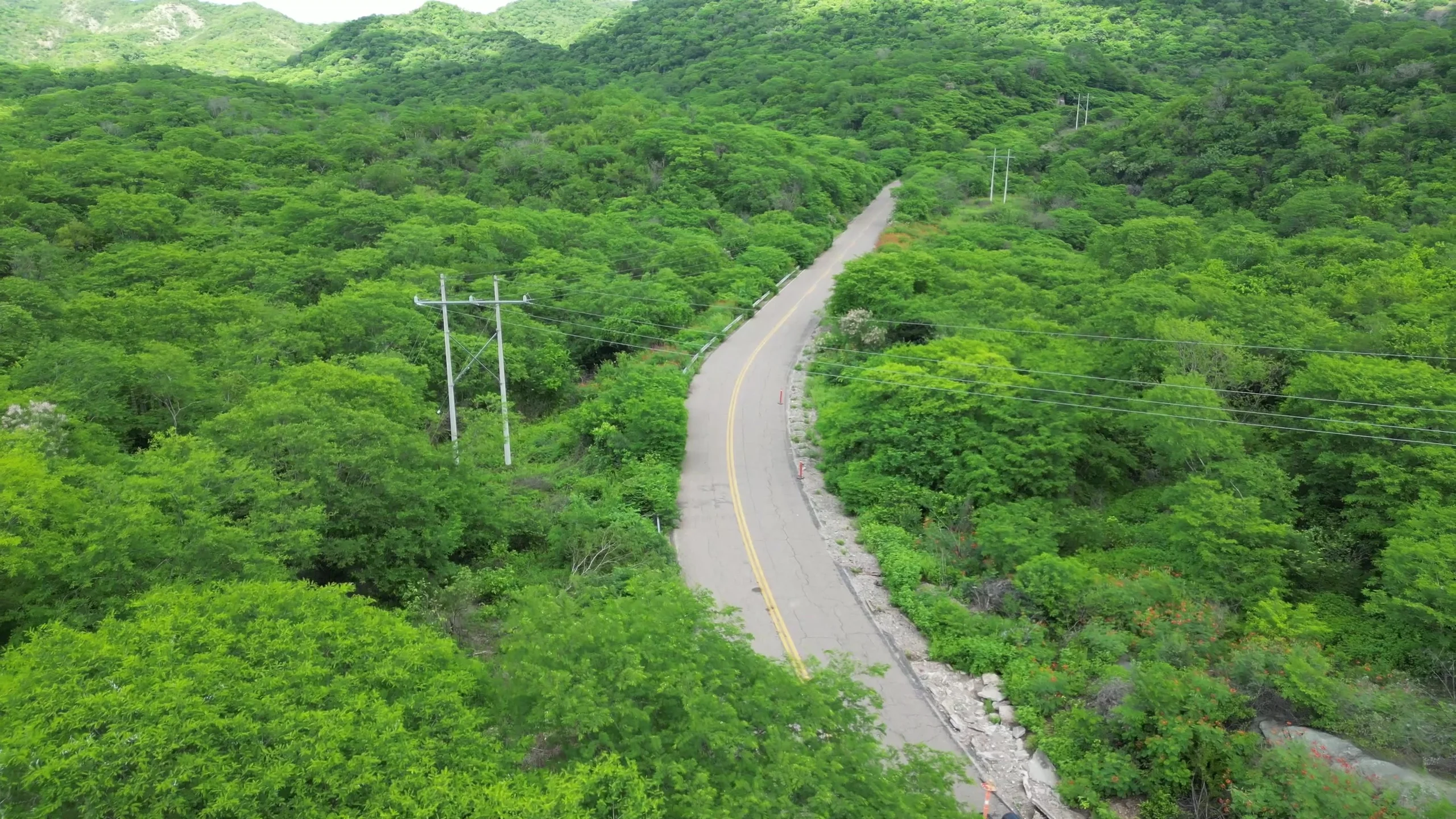 Acueducto Concordia — Línea de conducción y ramales — vista 8